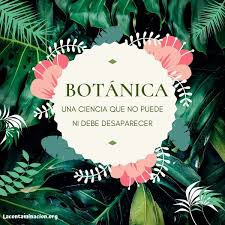 BOTANICA 